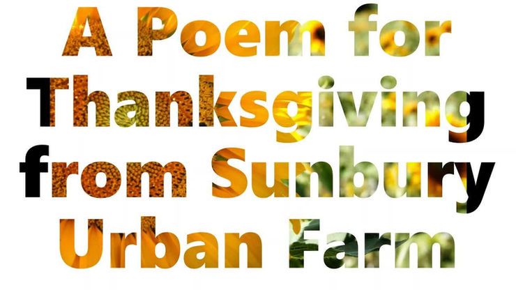 A Poem for Thanksgiving